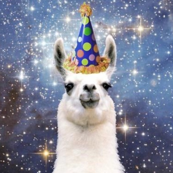 Meet your Posher, Dawn - Picture 1 of 1